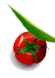 데코고추토마토